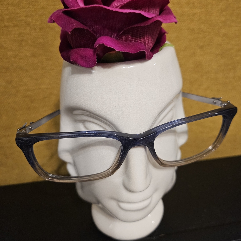 COACH Glasses in Blue and Gray